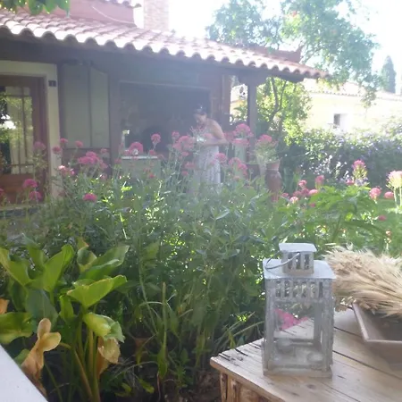 Small Guesthouse In The Garden Amarynthos Exteriér fotografie