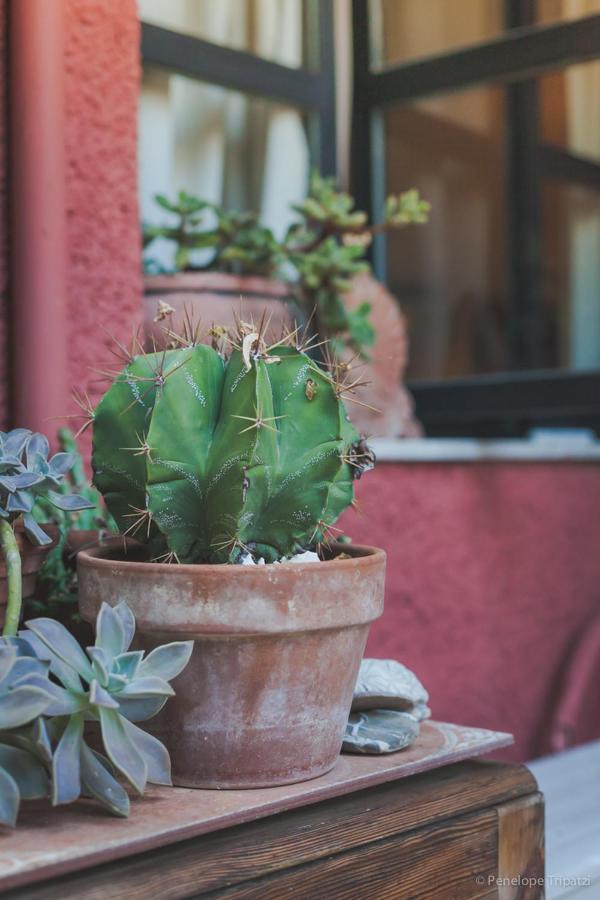 Homestay Small In The Garden
