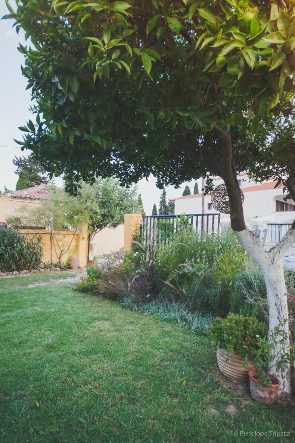 Small In The Garden Amarynthos